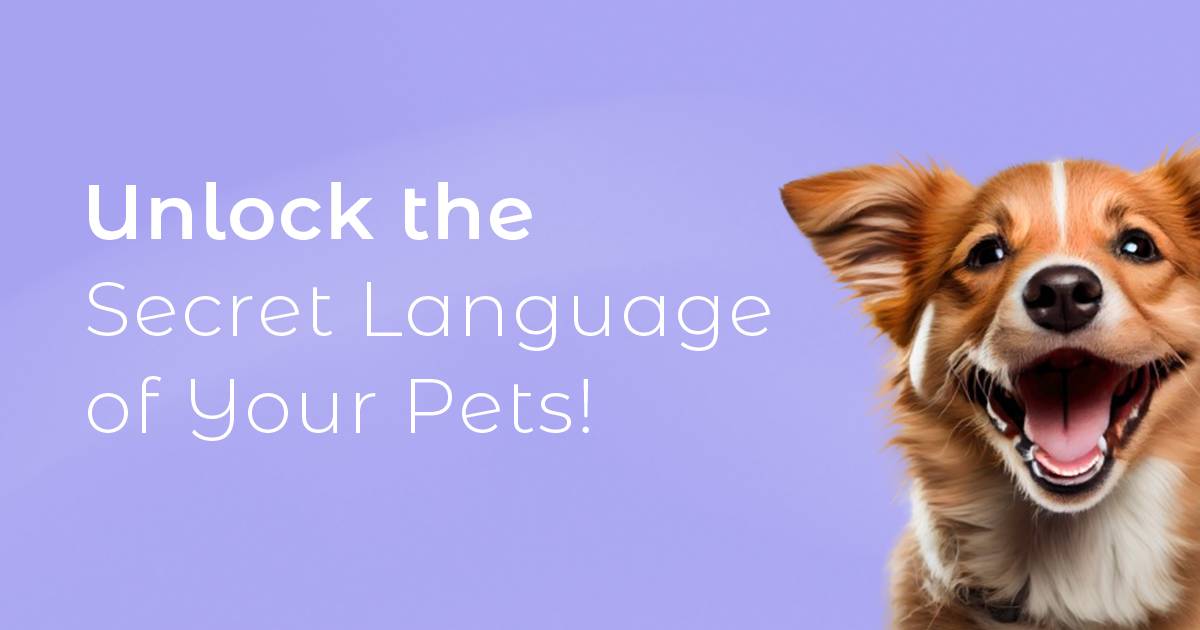 Tails Communicator Master the Art of Pet Communication & Care - Tails' Talks